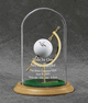 Hole-in-one ball display